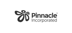 Pinnacle Healthcare Logo