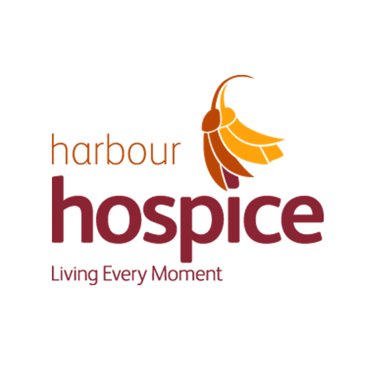 hospice round